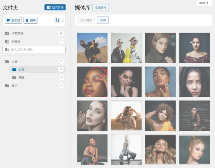 FileBird Pro 树形目录管理演示 FileBird Pro 树形目录管理演示