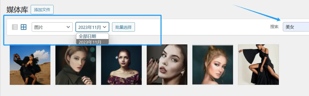 FileBird Pro 过滤器与搜索 FileBird Pro 过滤器与搜索