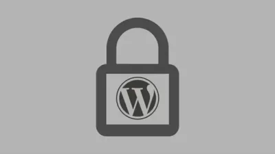 WordPress 插件漏洞