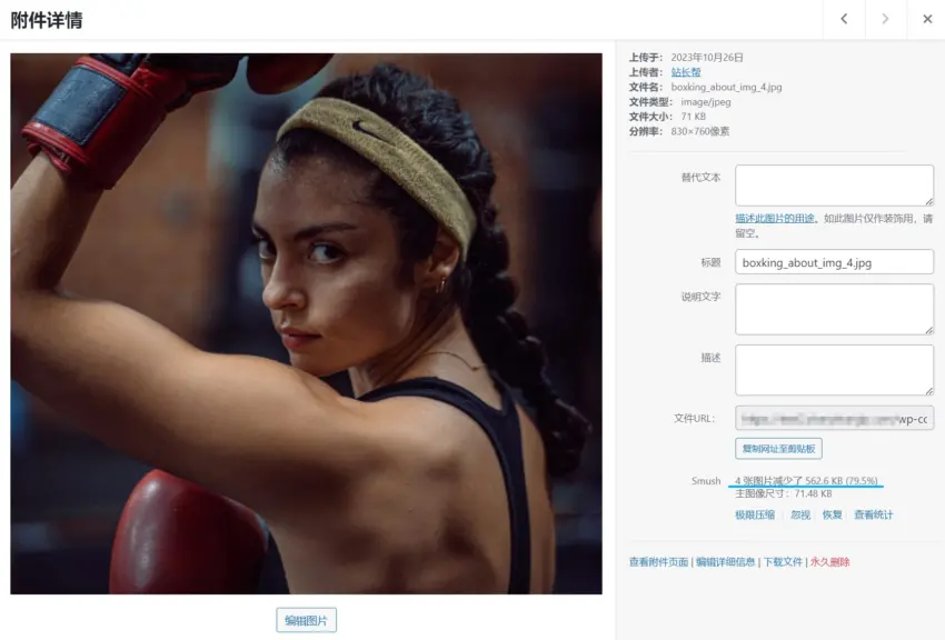 Wp Smush Pro 图片压缩效果验证 Wp Smush Pro 图片压缩效果验证
