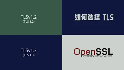 如何选择 TLS 协议版本