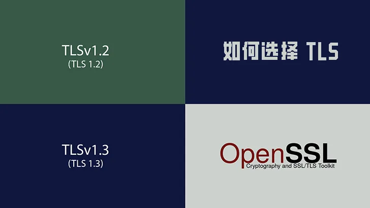 对于网站而言,如何选择 TLS 协议版本