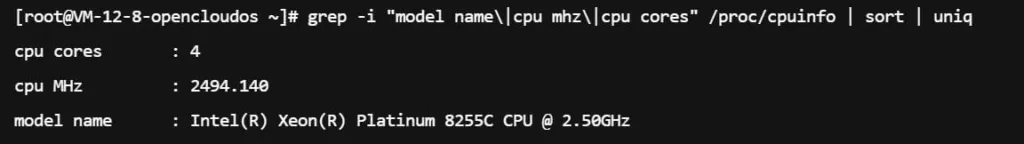 主机的 CPU 信息